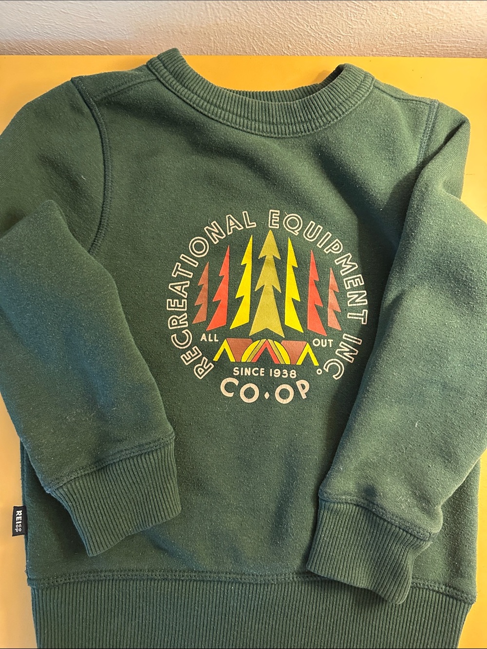 REI Kids Green Graphic Crewneck Sweatshirt with Yellow & Red Accents